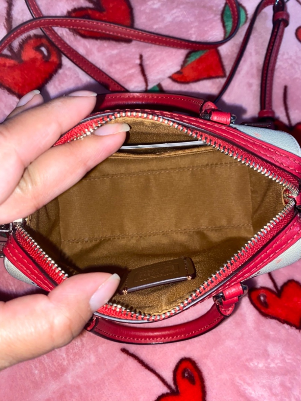 Coach Micro Rowan with Ladybug Print - Picture 3 of 5